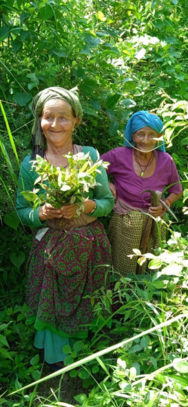 Villagers participating in tree planting activities